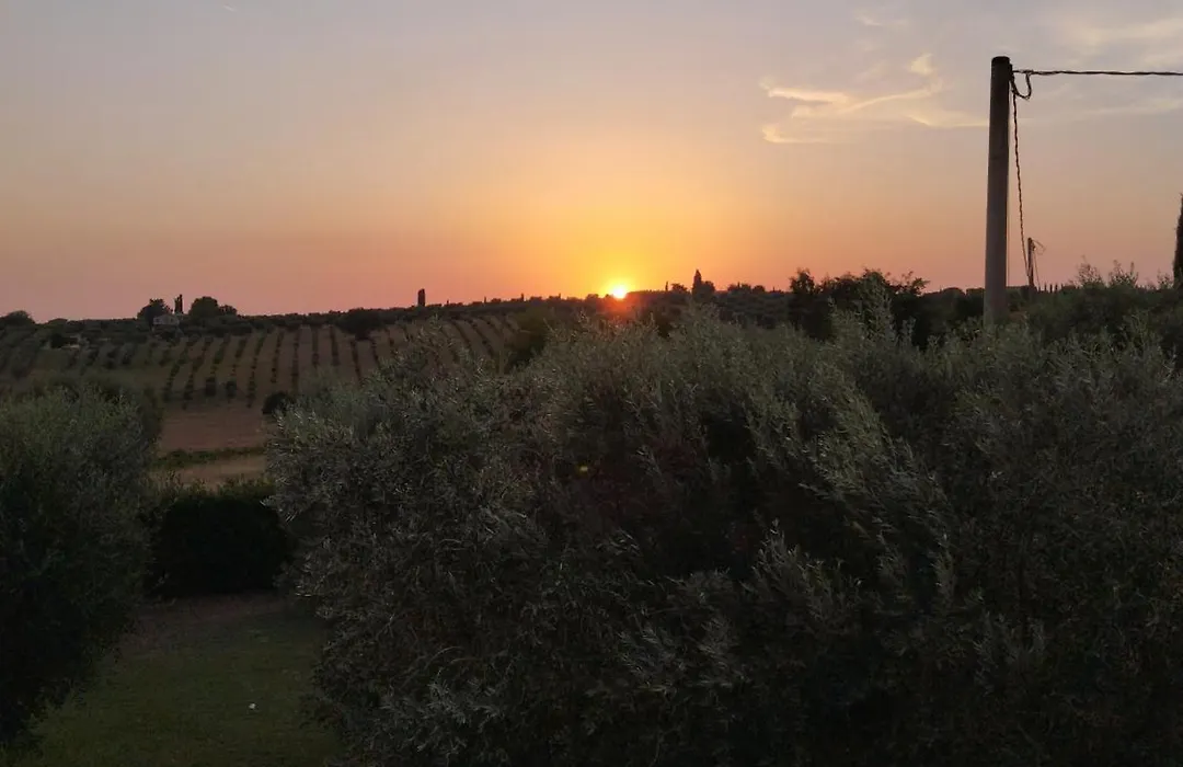 Agriturismo Podere 329-1